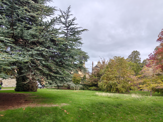 皇家牛津酒店優惠