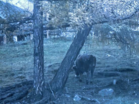 深山裡·優哉遊哉VILLA度假民宿（喀納斯老村店）優惠