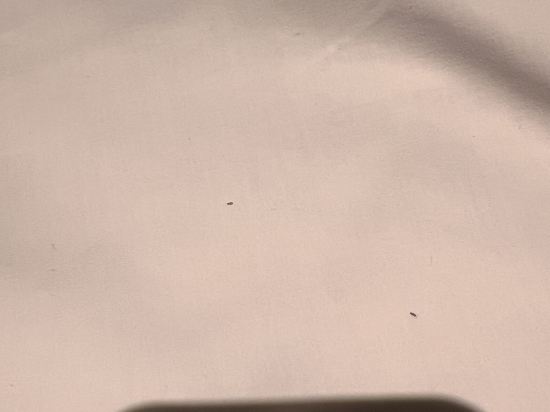 曼谷素坤逸路假日酒店優惠