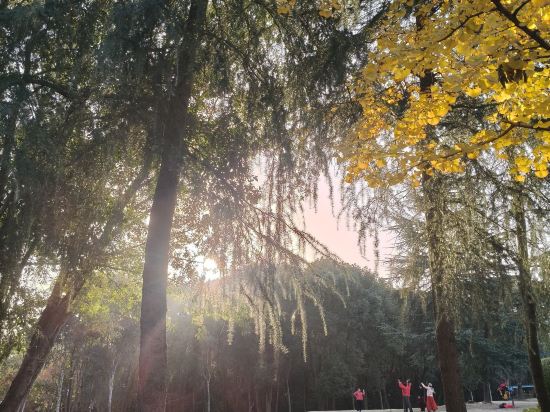 北京晨源客棧優惠