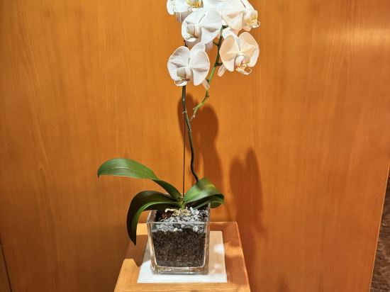 香港文華東方酒店優惠