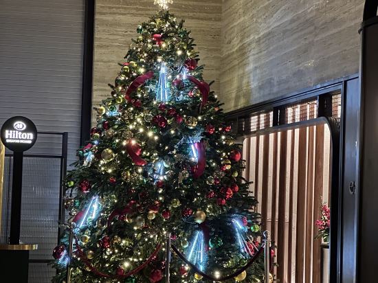 新加坡烏節希爾頓酒店 （SG Clean）優惠