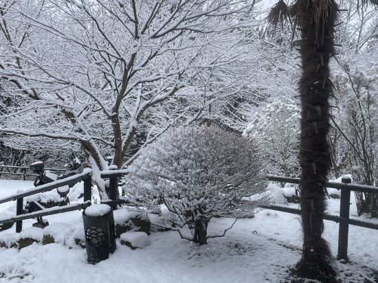 旅籠　忠治館 クーポン