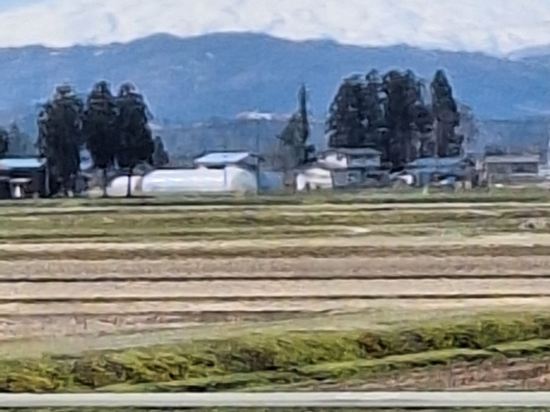 横手プラザホテル クーポン