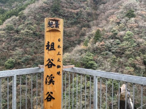 渓谷の隠れ宿　祖谷美人 クーポン