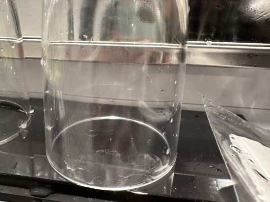 ホテルピエナ神戸 クーポン