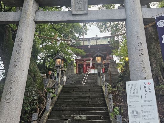 露櫻飯店熊本站前店優惠