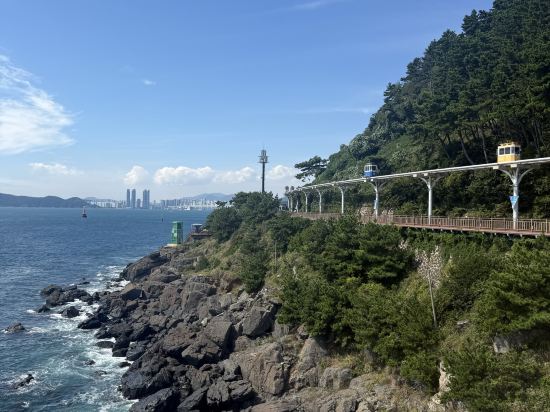 플레아 드 블랑 쿠폰