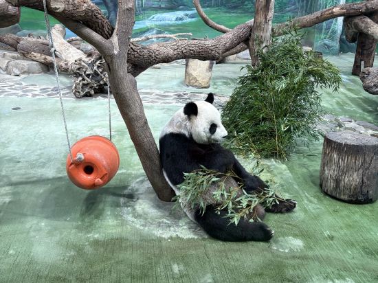 尚美精旅（愛行旅）優惠