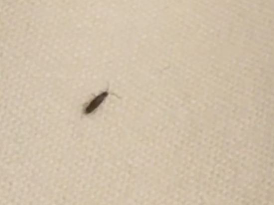 香港美麗華酒店優惠