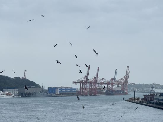 基隆華帥海景飯店優惠