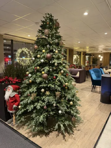 Quality Hotel Grand Tromsø Общественные зоны Photos