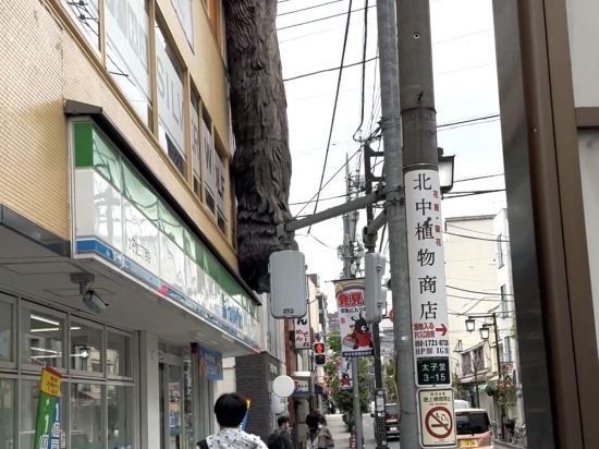 the b 三軒茶屋 クーポン