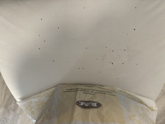 維賽斯克魯茲飯店優惠
