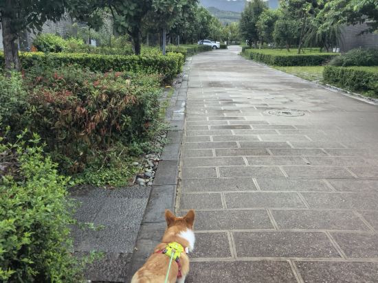 麗江雲澗度假酒店優惠