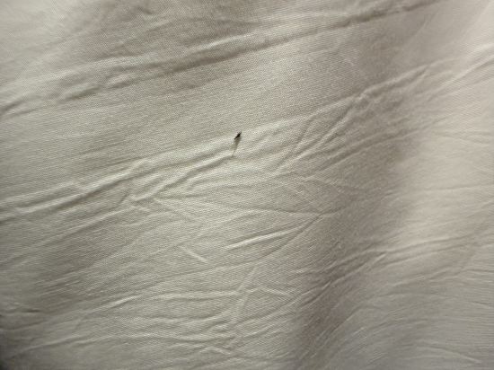 北京富力萬麗酒店優惠