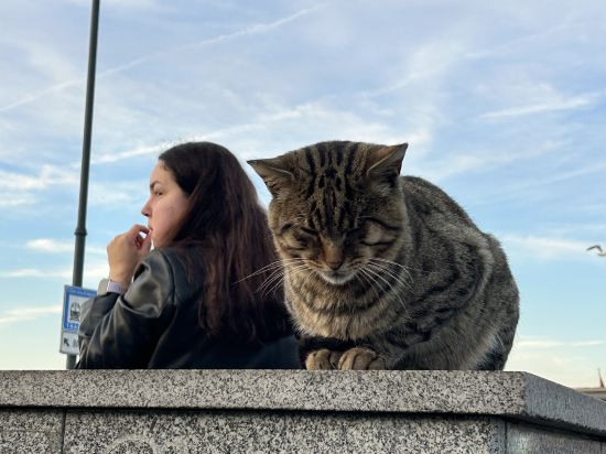 伊斯坦堡皇冠假日酒店優惠