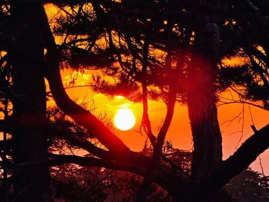 黃山獅林大酒店優惠