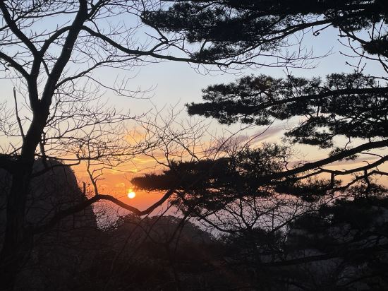 黃山獅林大酒店優惠