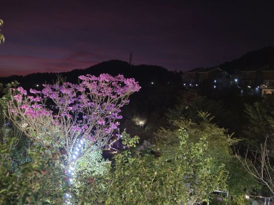 雲浮翔順象窩酒店優惠