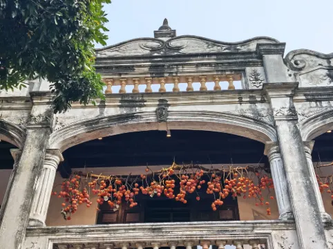 تيوليب إن بادوفا بالقرب من الفندق Photos