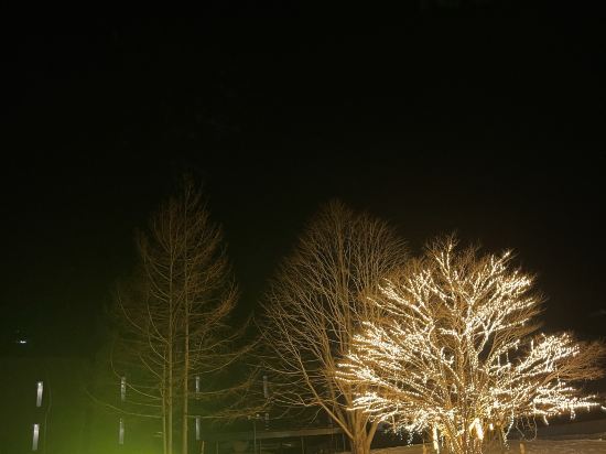 安比高原全日空皇冠假日度假村優惠