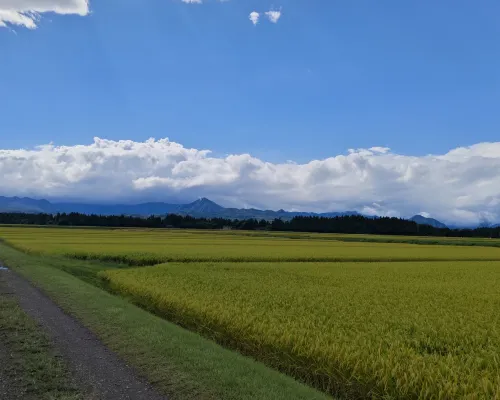 TAOYA秋保 ホテル周辺 Photos