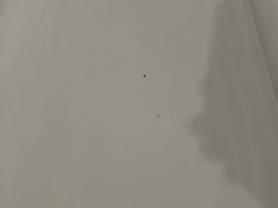 博斯科維克精品酒店優惠