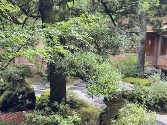 おちあいろう クーポン