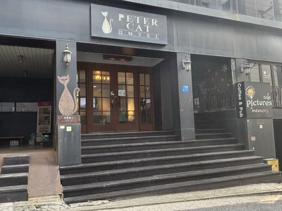 피터캣 호텔 신촌 홍대 쿠폰