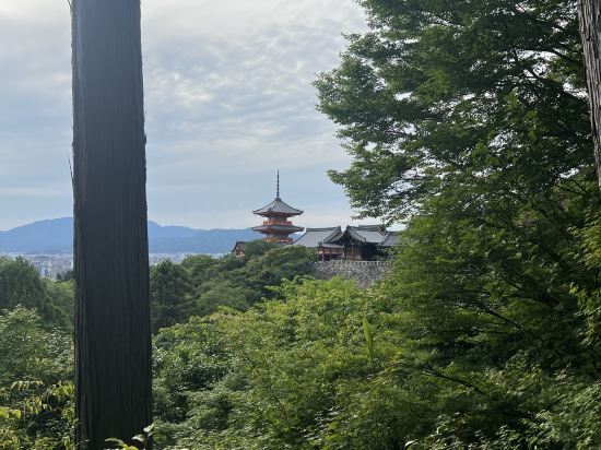 ベッセルホテルカンパーナ京都五条 クーポン