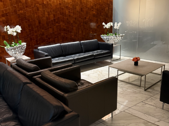 羚羊機場酒店 - 僅限轉機優惠