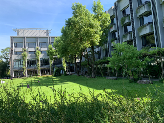 秧悦美地渡假酒店優惠