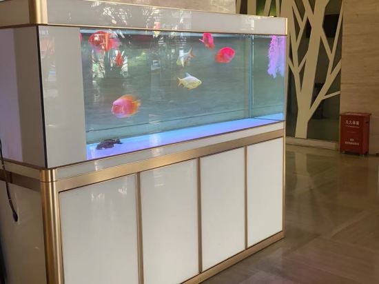 深圳雅庭精品酒店優惠