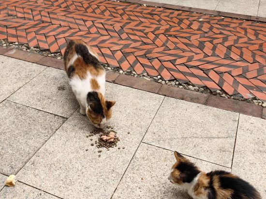 廈門錢公館-1929（中山路步行街鎮海路地鐵站店）優惠