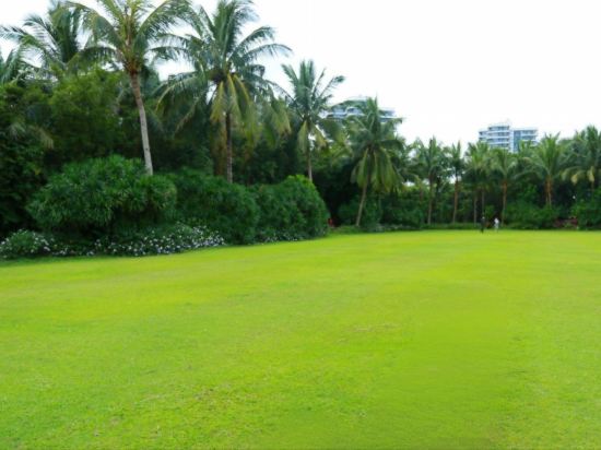 海口萬麗酒店優惠