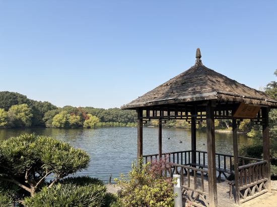 上海西郊賓館優惠