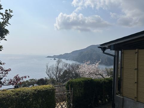 油屋別館　和亭 クーポン