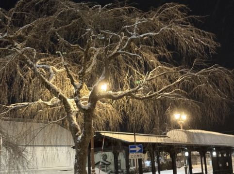 ホテル フォルクローロ 角館 クーポン