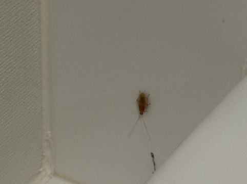 ホテルリソルトリニティ那覇 クーポン