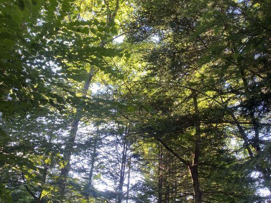 舊輕井澤大飯店優惠