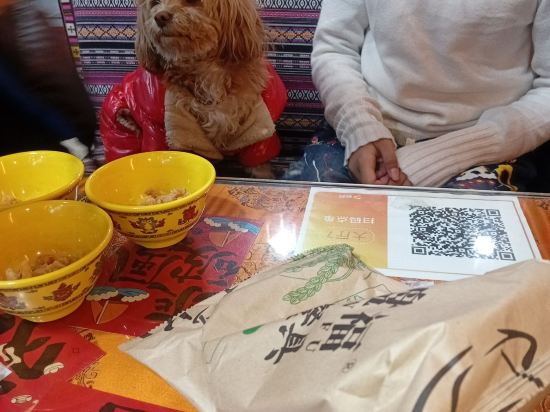 成都秋瑾民宿（太古裡店）優惠