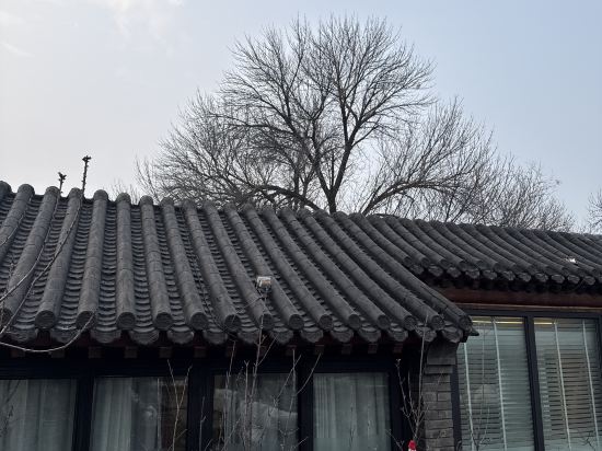 北京樂在南鑼精品飯店優惠