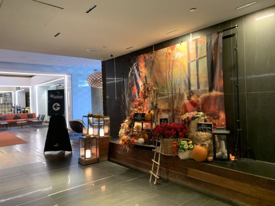 蒙特利爾文德酒店優惠