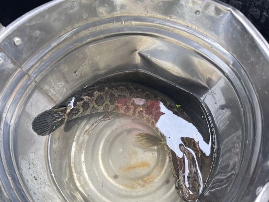 杭州西溪賓館優惠