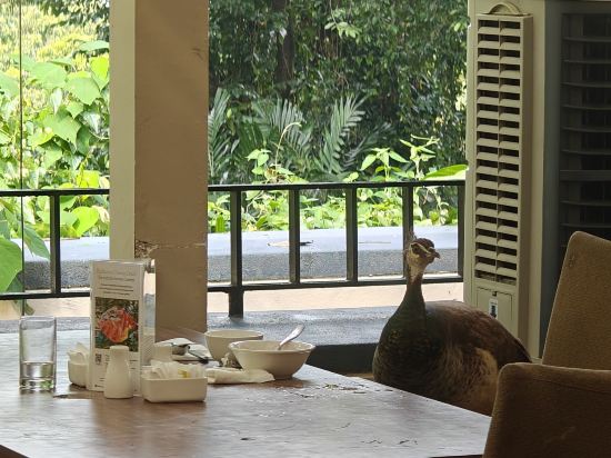 新加坡聖淘沙索菲特度假村及水療中心 （Staycation Approved）優惠