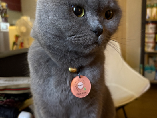 成都茉莉國際青年旅舍（春熙路太古裡店）優惠