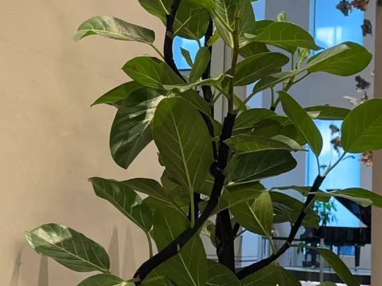 太原萬怡酒店優惠