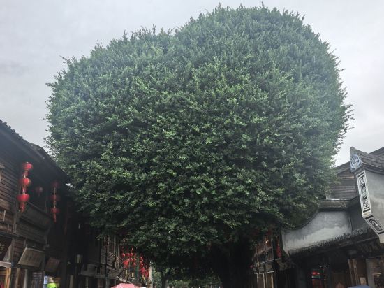 全季酒店（福建師範大學倉山校區店）優惠