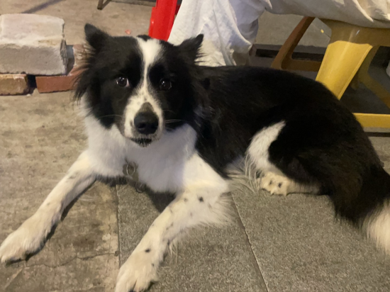 廈門花茿·苑居飯店公寓（高碕機場店）優惠